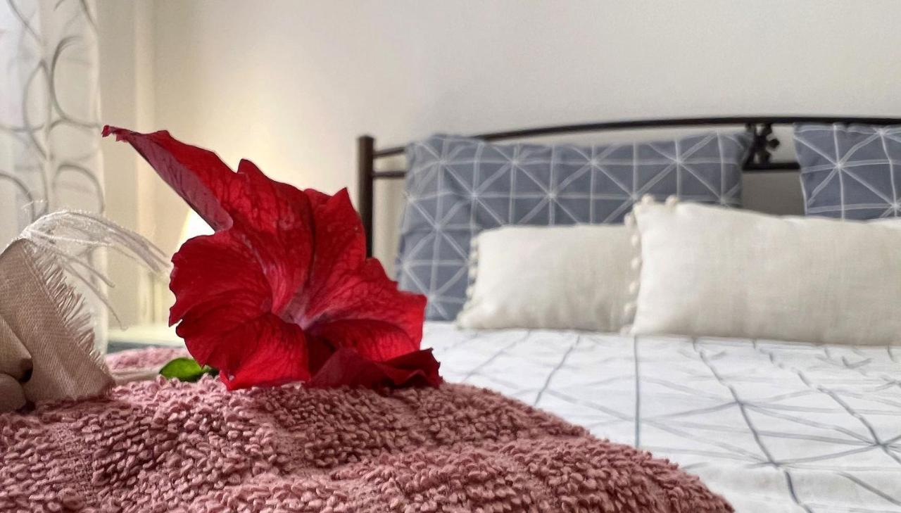 Casa Di Mare Apartment Corfu  ภายนอก รูปภาพ