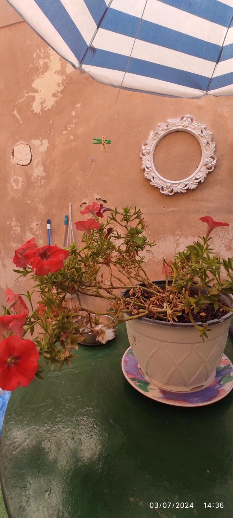 Casa Di Mare Apartment Corfu  ภายนอก รูปภาพ